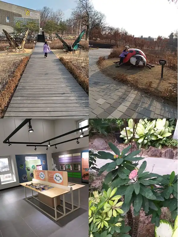 불암산 나비정원