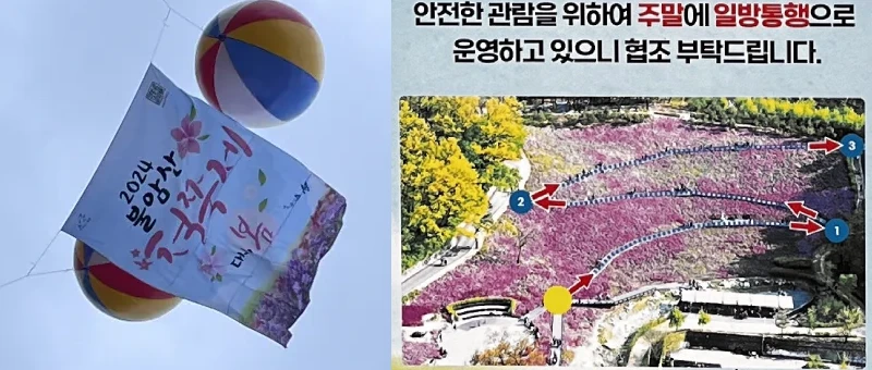 불암산 철쭉