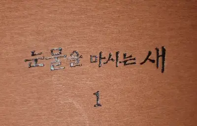 눈물을 마시는 새