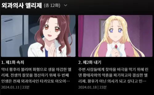 외과의사 엘리제