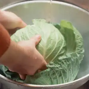 양배추 농약 제거 방법
